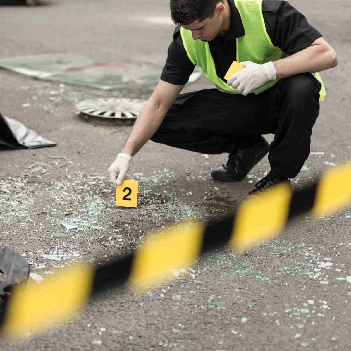 ICAM Lead Investigator