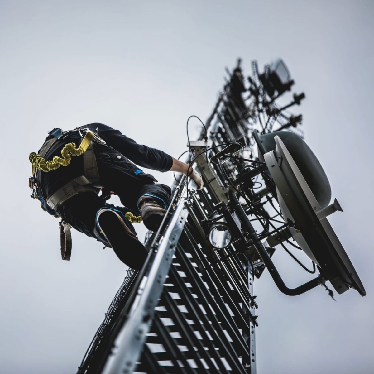 Tower Climbing and Rescue