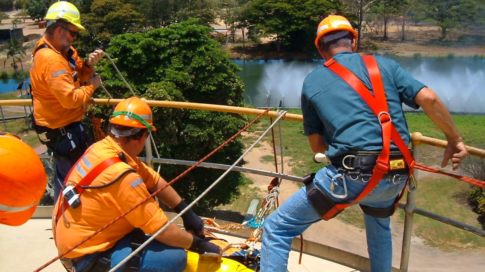 Vertical Rescue Carousel image 3